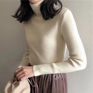 Turtleneck Knitted Sweaters